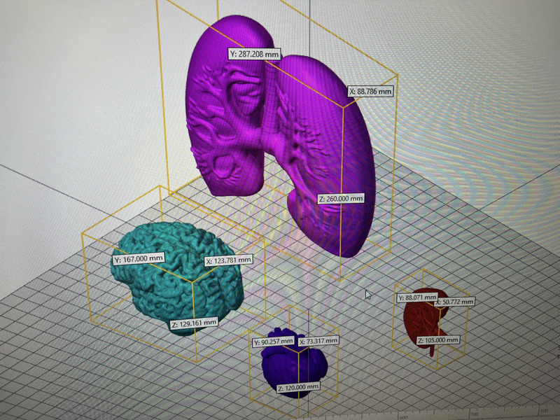 Dịch vụ in 3D theo yêu cầu